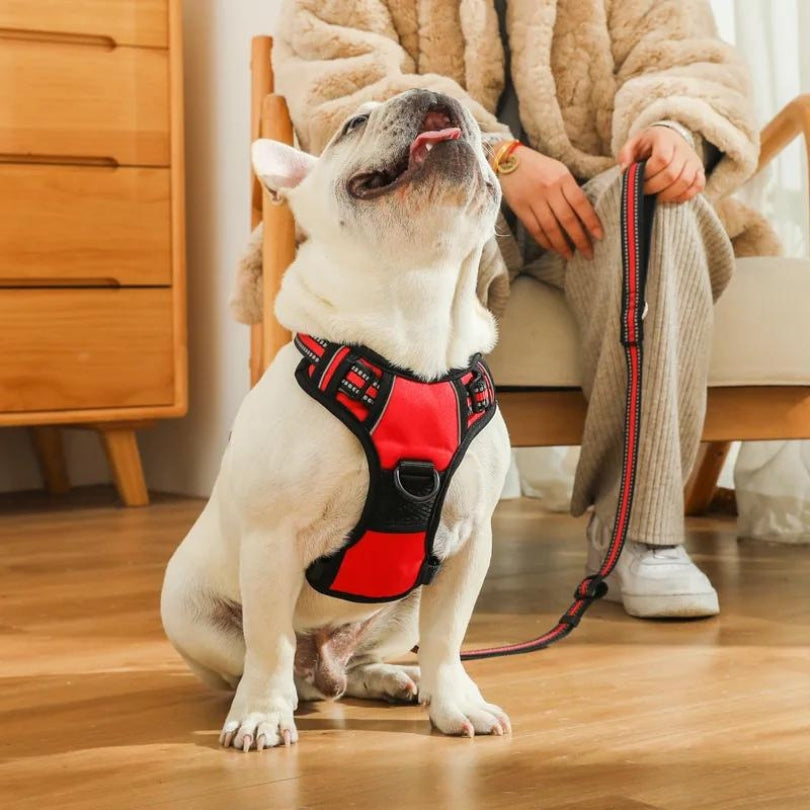 HARNAIS CHIEN ANTI TRACTION | SAFEWALK™ - Je Promène Mon Chien