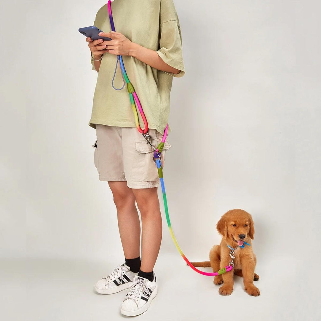 Laisse mains libres pour chiens - Multicolore