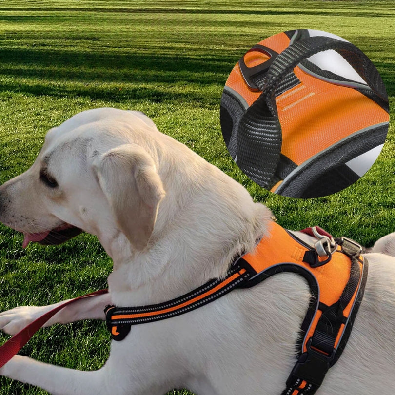HARNAIS CHIEN ANTI TRACTION | SAFEWALK™ - Je Promène Mon Chien