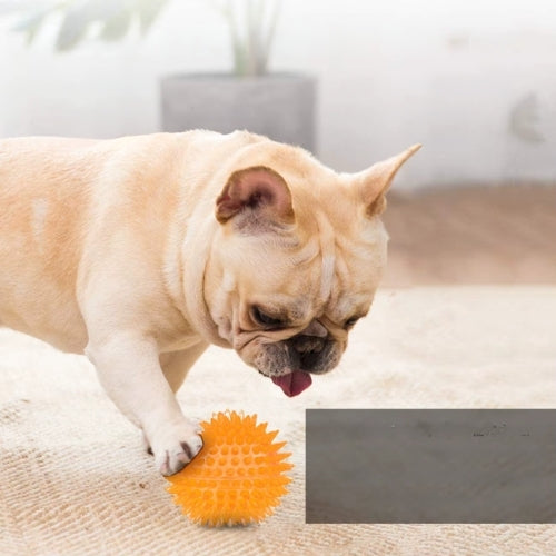 Balle pour chiens | ChewBall™