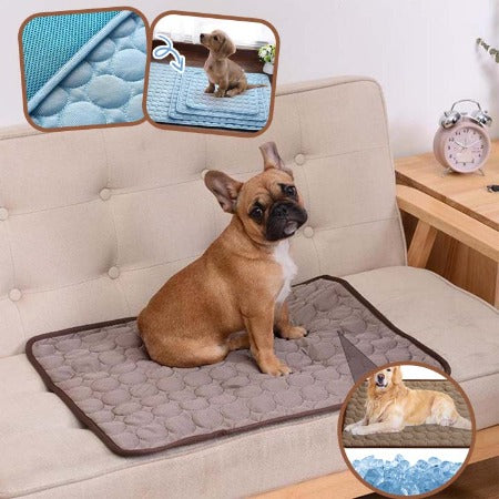 Tapis rafraichissant chien | Revigore™ - Je Promène Mon Chien