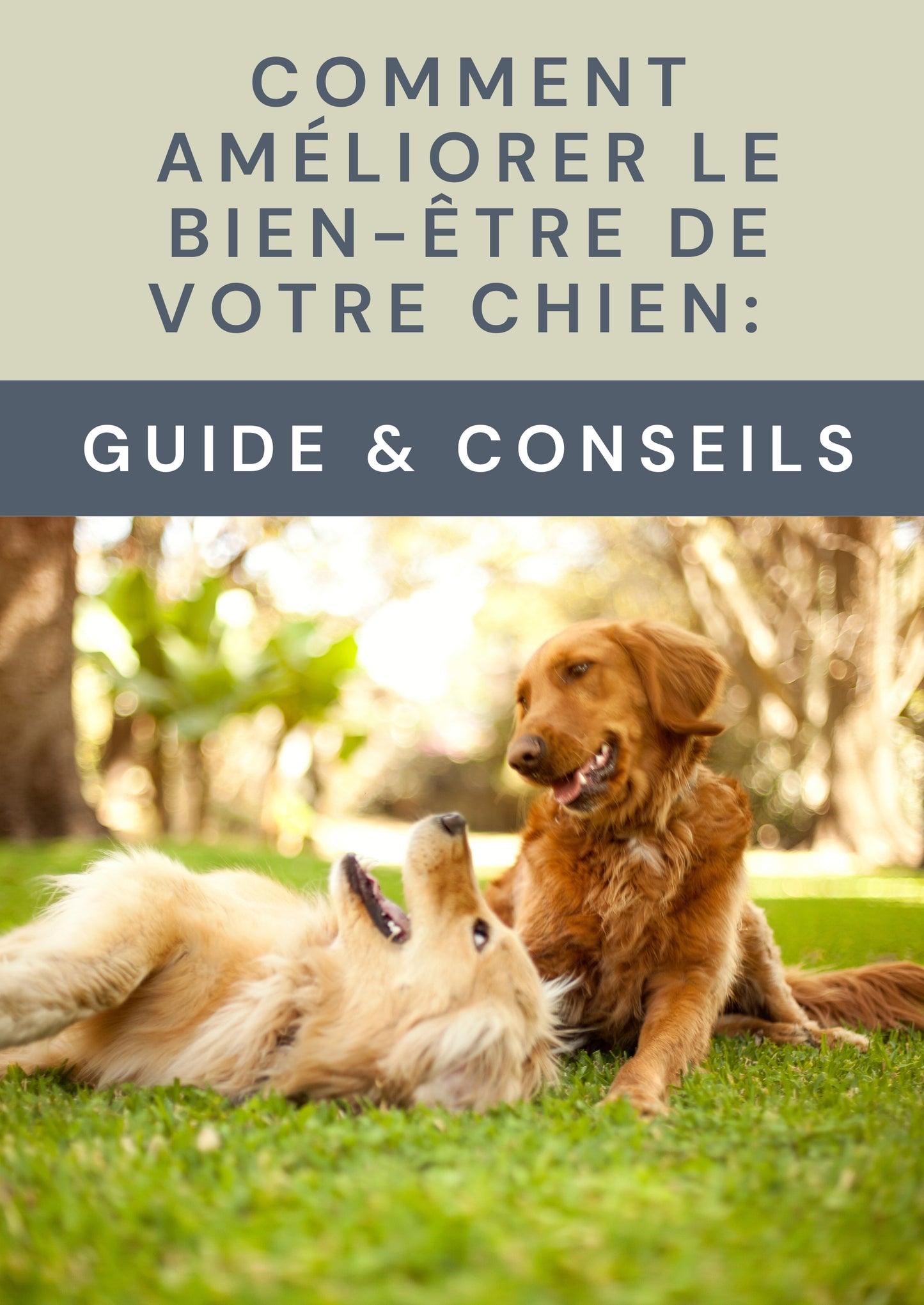 E-BOOK - Comment améliorer le bien-être de votre chien ?