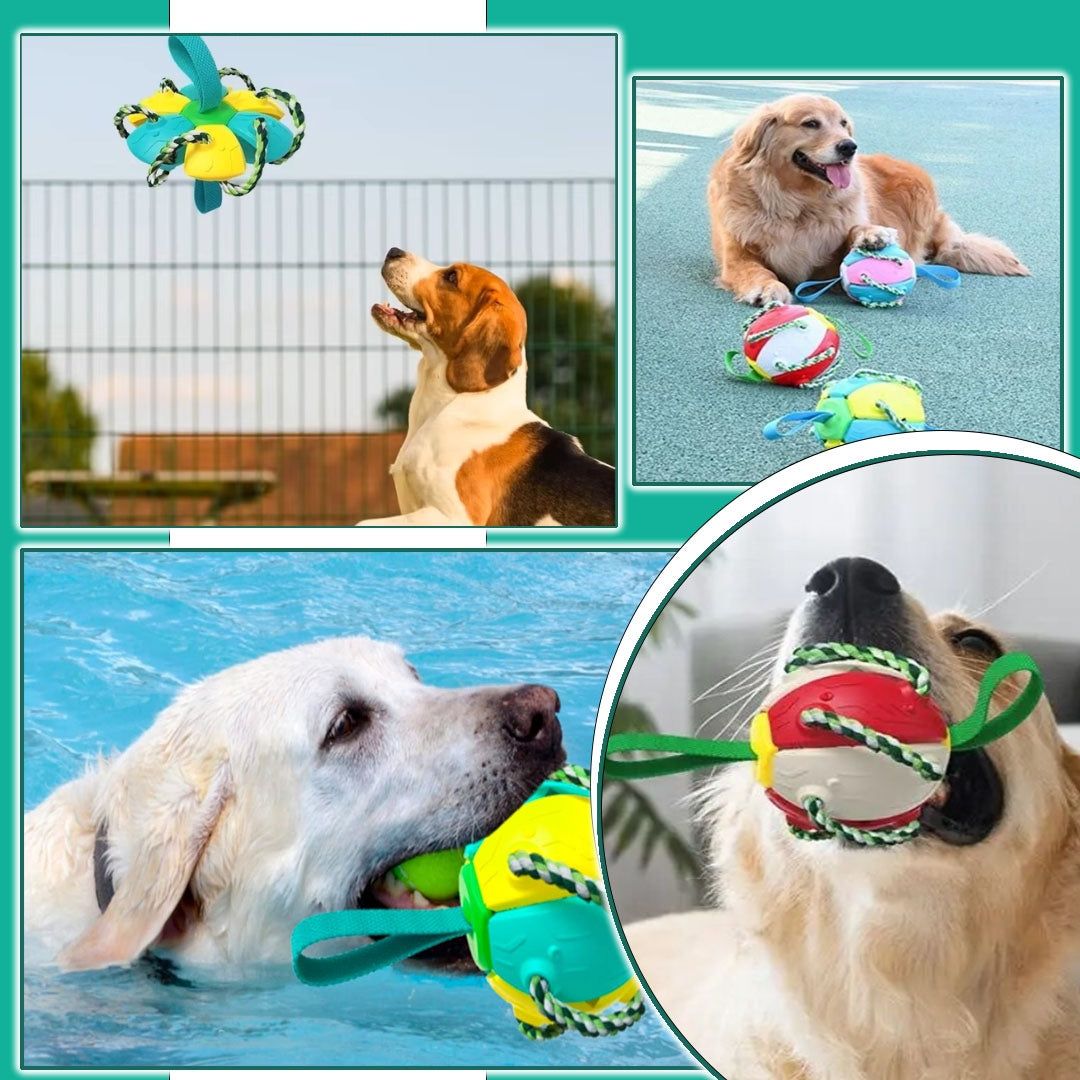 Balle pour chien - Extraballe™ magique 2 en 1