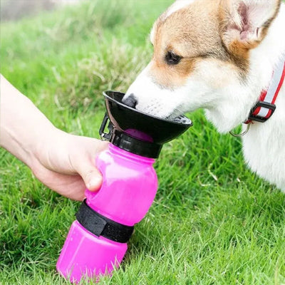 chien boit dans le bol sur la gourde rose