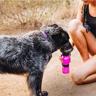 femme donne à boire à son chien avec gourde rose