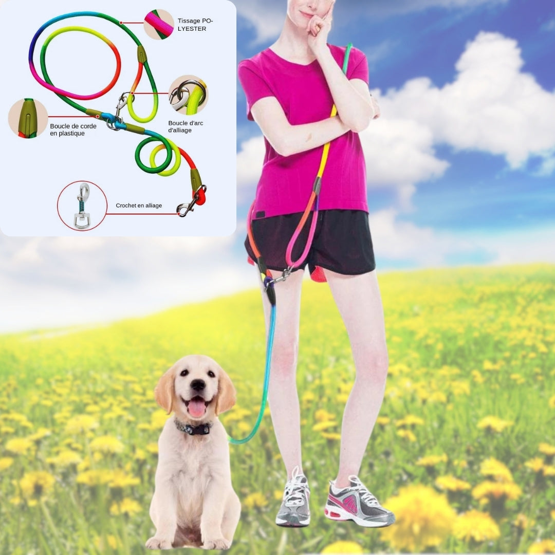LAISSE POUR CHIEN | REFLETCORD™ - Je Promène Mon Chien