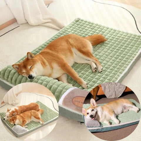 Lit pour chien existe en 3 tailles