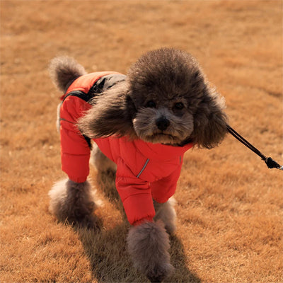 Manteau pour chien Wintershield rouge exterieur