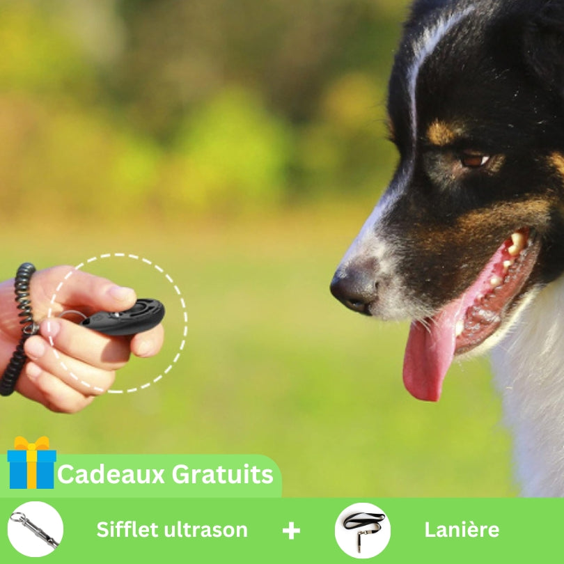 Toutouclic™ | Clicker spécial apprentissage