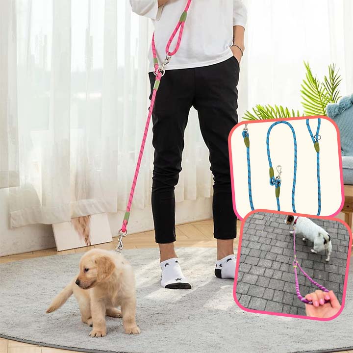 LAISSE POUR CHIEN | REFLETCORD™ - Je Promène Mon Chien
