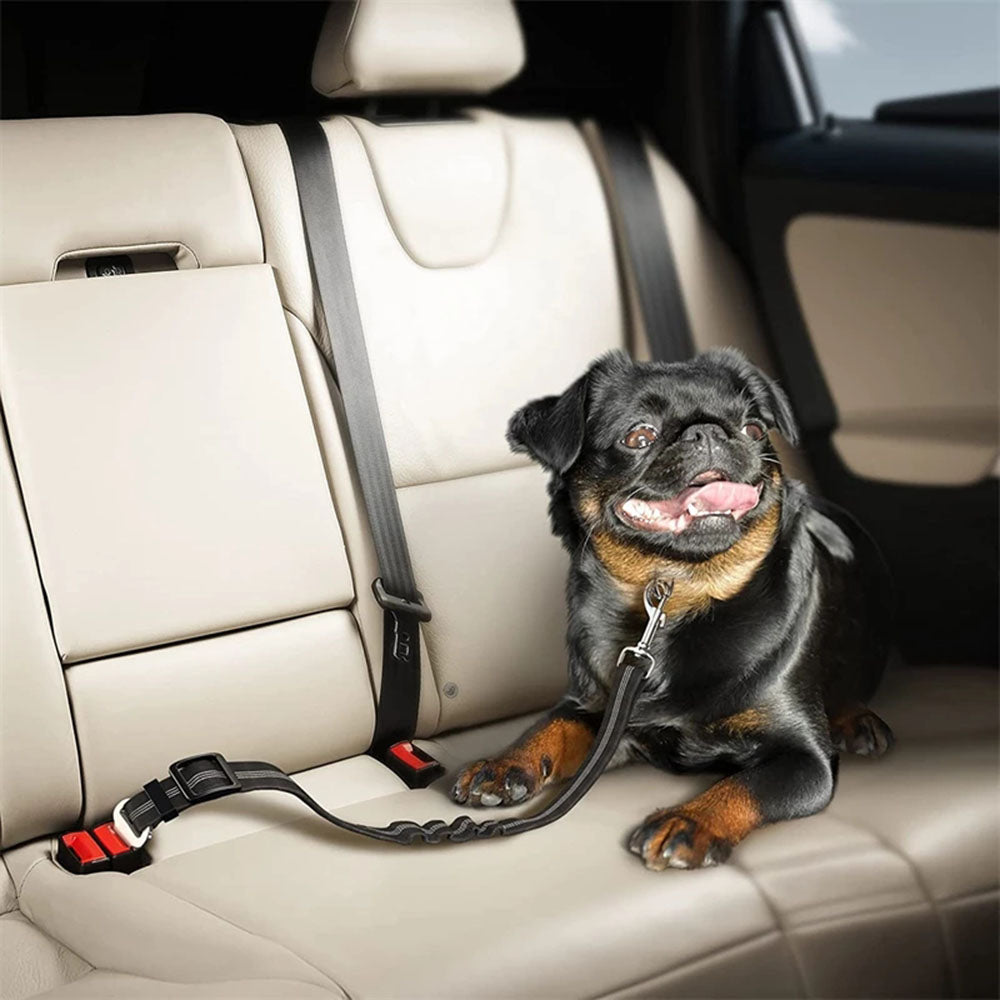 Ceinture de sécurité pour chien | Sécurvoyage™