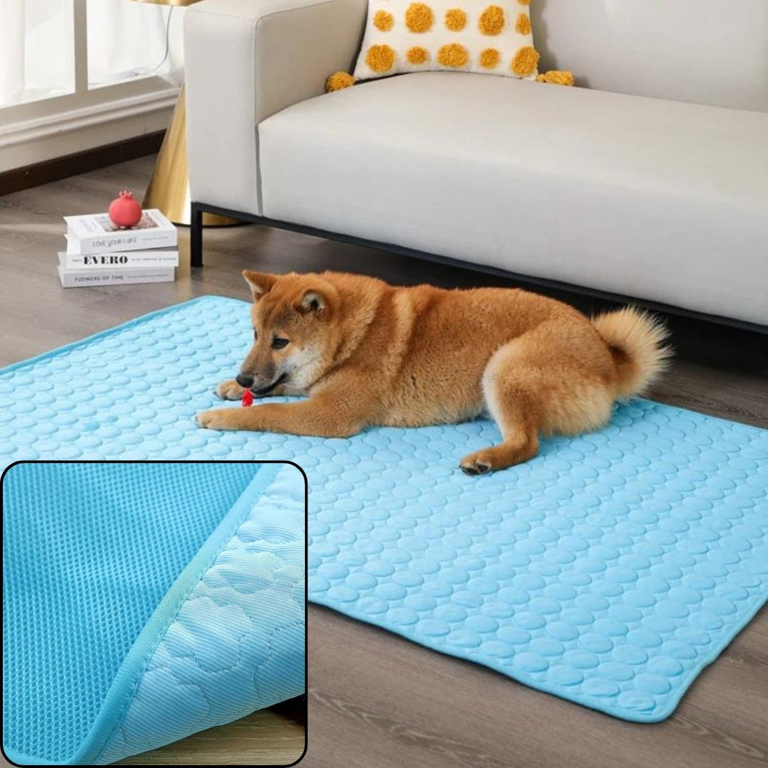 Tapis rafraichissant chien | Revigore™ - Je Promène Mon Chien