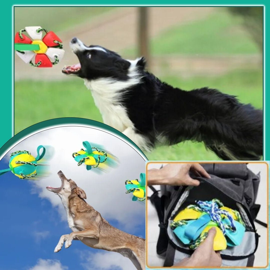 Balle pour chien - Extraballe™ magique 2 en 1 - Je Promène Mon Chien