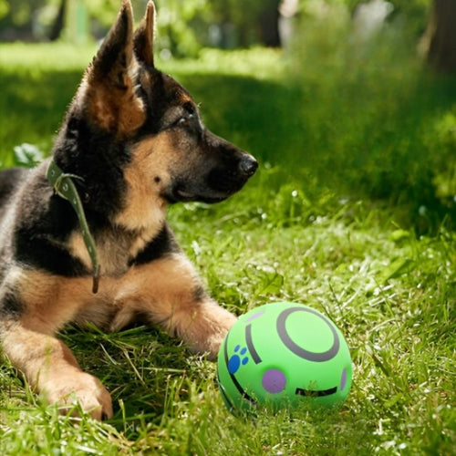 Balle sonore interactive pour chien | Active™