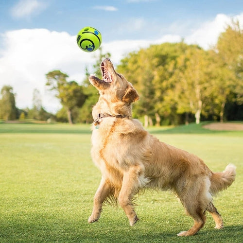 Balle pour chien | Ultra-Résistante