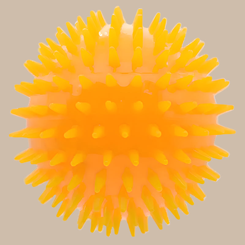 Balle pour chiens | ChewBall™ - Je Promène Mon Chien