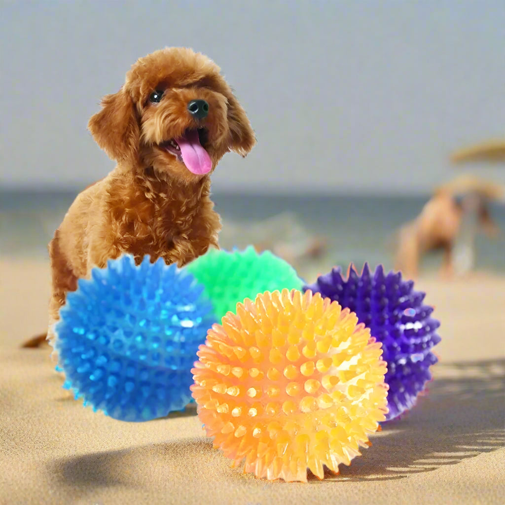 Balle pour chiens | ChewBall™ - Je Promène Mon Chien