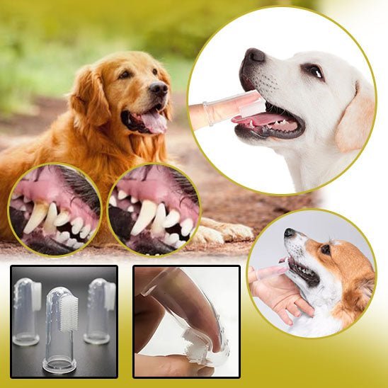 Brosse à dents souple | Rubsdent™ - Je Promène Mon Chien