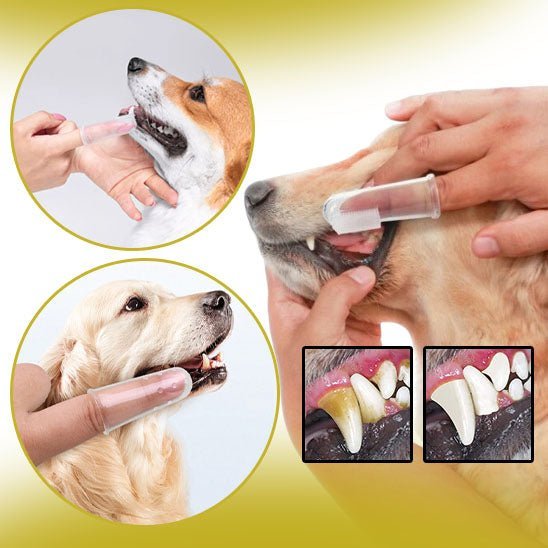 Brosse à dents souple | Rubsdent™ - Je Promène Mon Chien