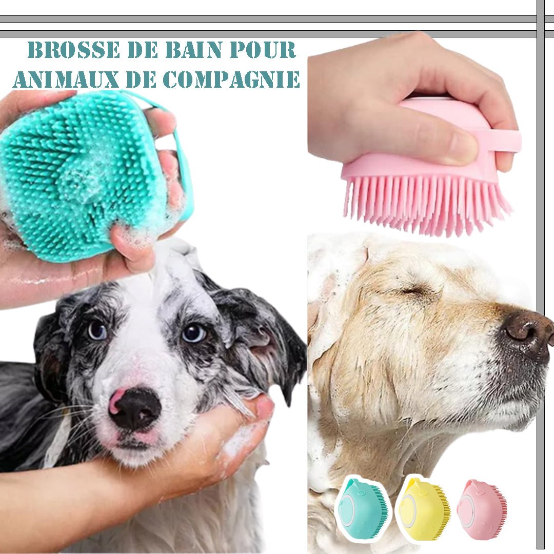 Brosse pour chien | Toutoupropre™ - Lot de 2 - Je Promène Mon Chien