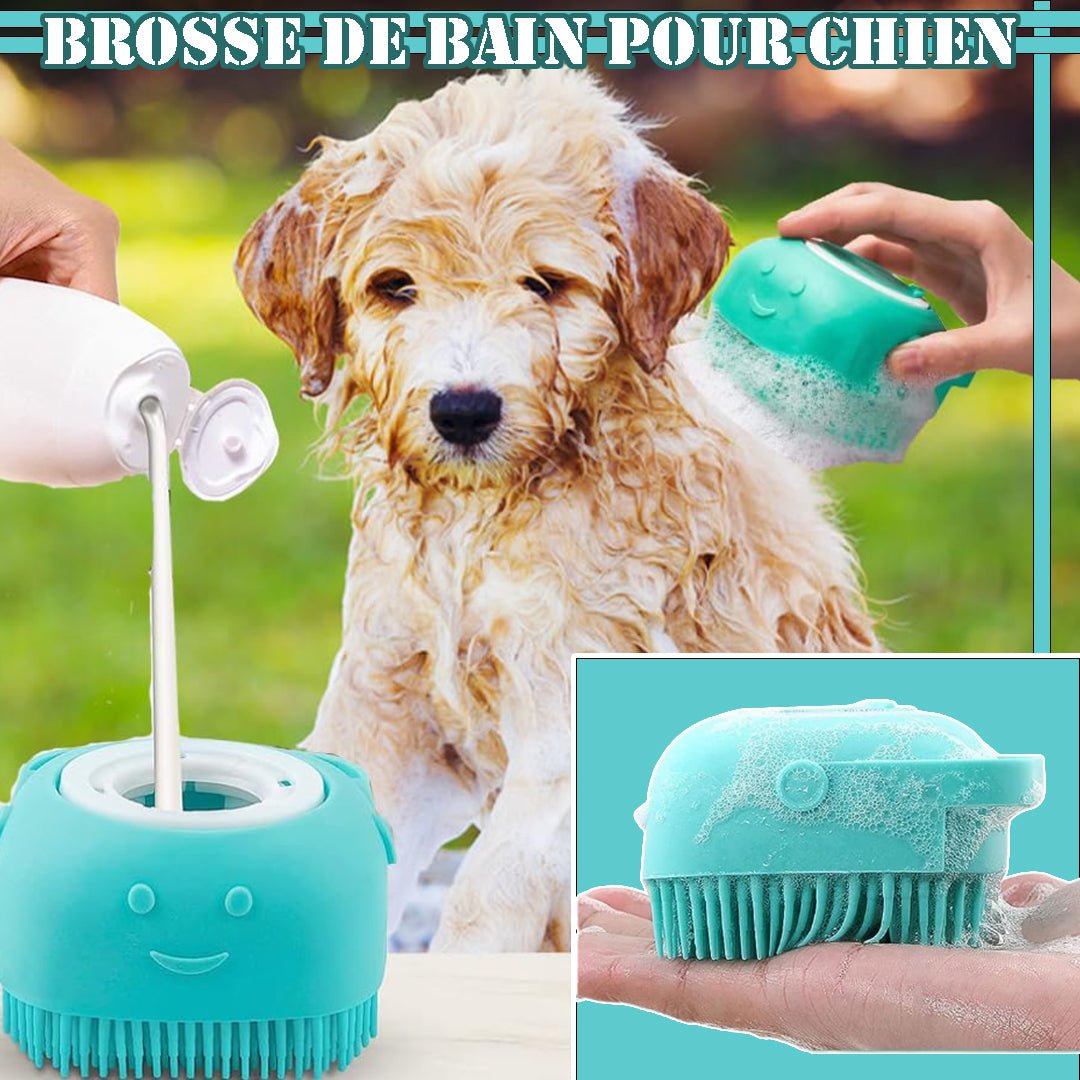 Brosse pour chien | Toutoupropre™ - Lot de 2 - Je Promène Mon Chien