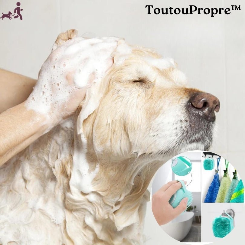 Brosse pour chien | Toutoupropre™ - Lot de 2 - Je Promène Mon Chien