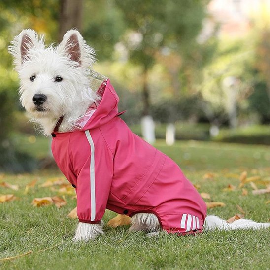 Ciré pour chien rouge