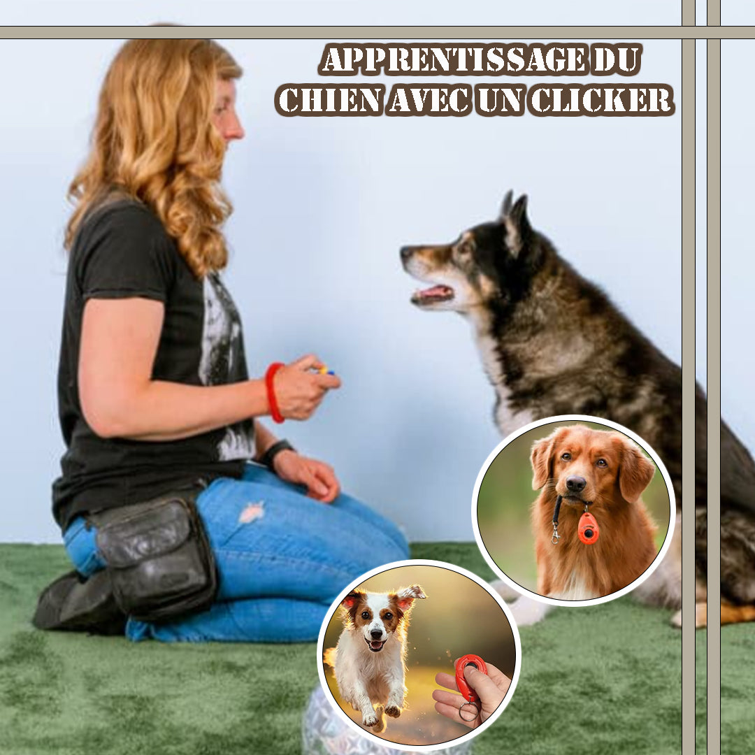 Toutouclic™ | Clicker spécial apprentissage