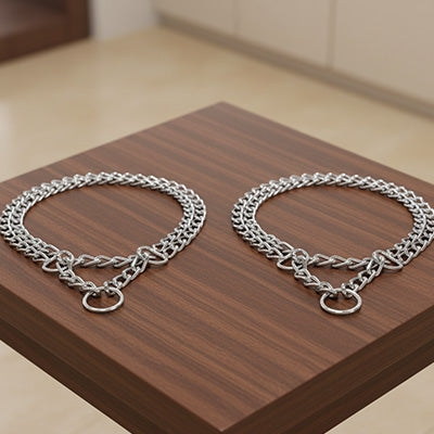 présentation du collier chien chaîne double