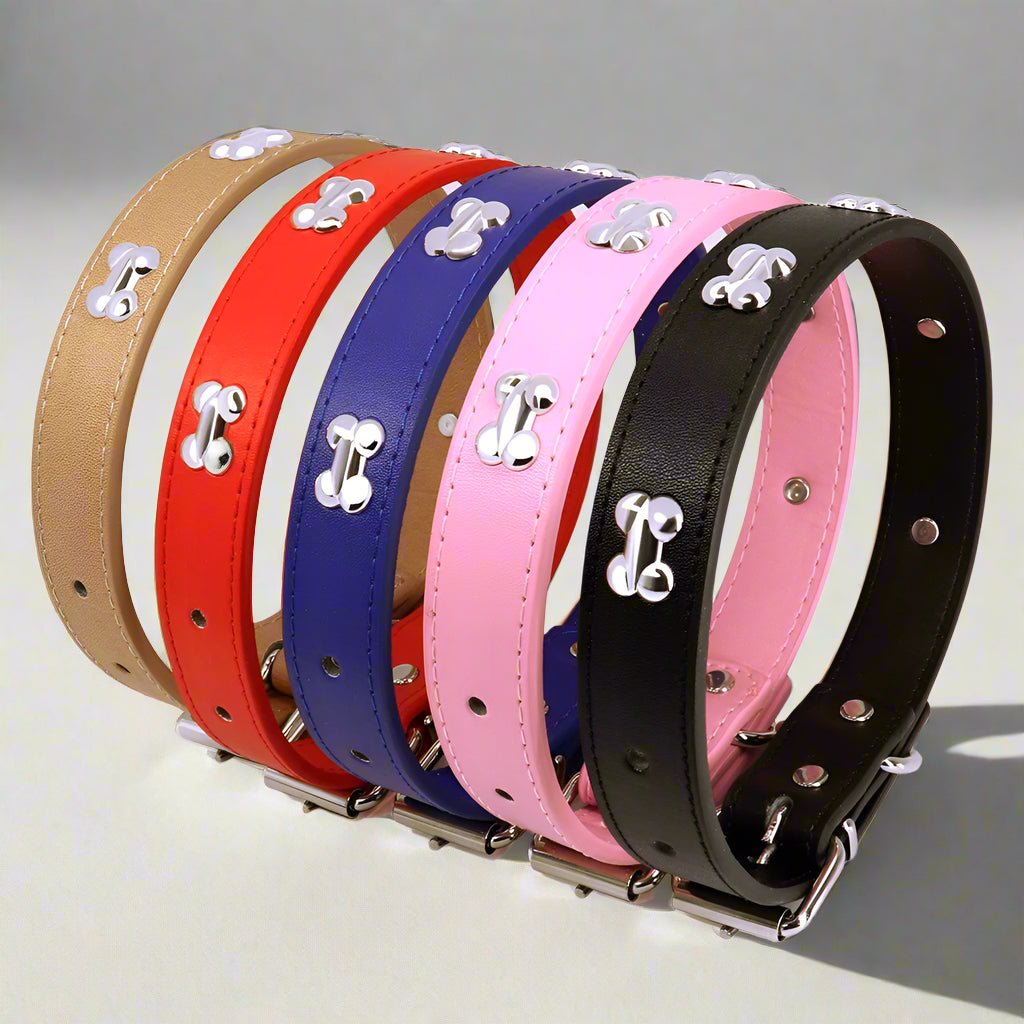 Collier chien cuir | Yakucol™ - Je Promène Mon Chien