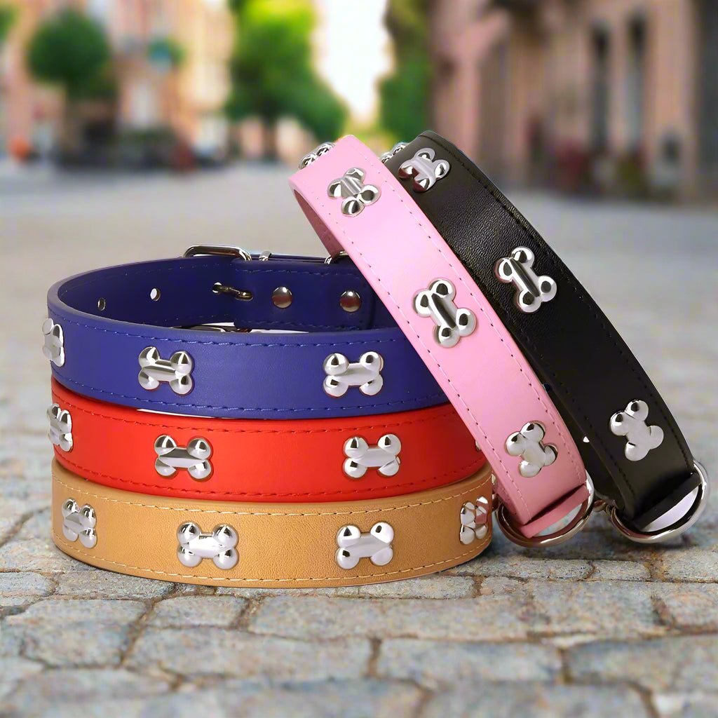 Collier chien cuir | Yakucol™ - Je Promène Mon Chien