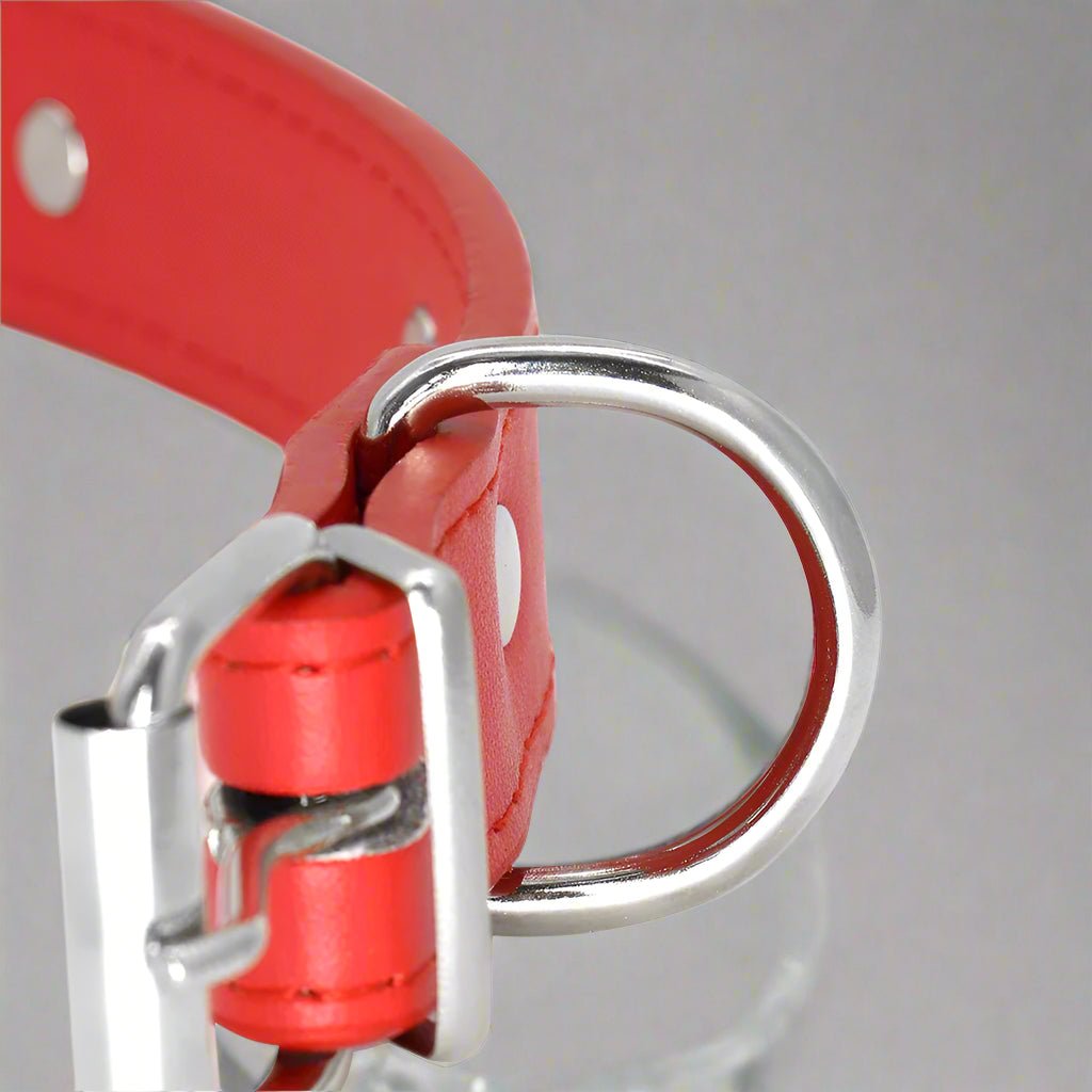 Collier chien cuir | Yakucol™ - Je Promène Mon Chien