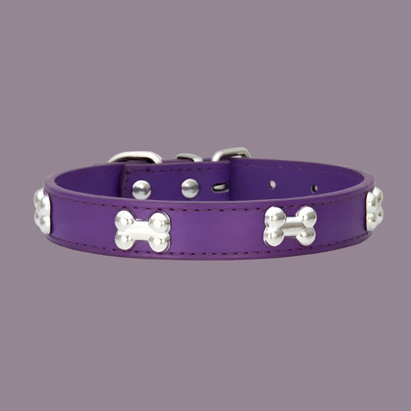 Collier chien cuir | Yakucol™ - Je Promène Mon Chien