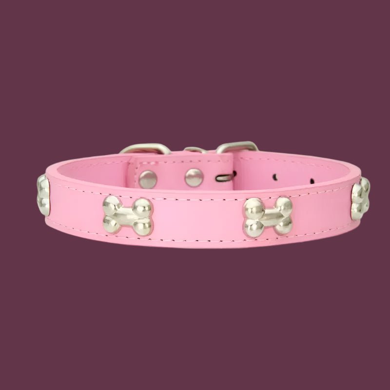 Collier chien cuir | Yakucol™ - Je Promène Mon Chien