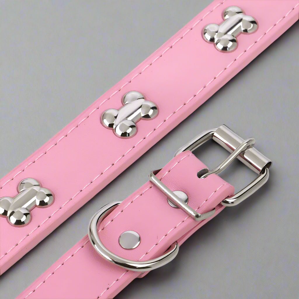 Collier chien cuir | Yakucol™ - Je Promène Mon Chien