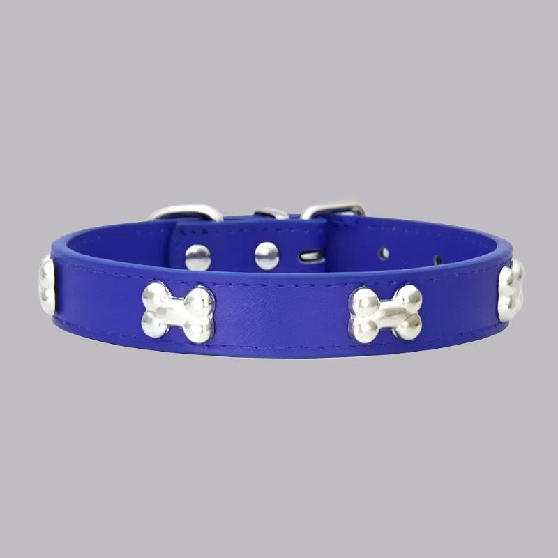 Collier chien cuir | Yakucol™ - Je Promène Mon Chien