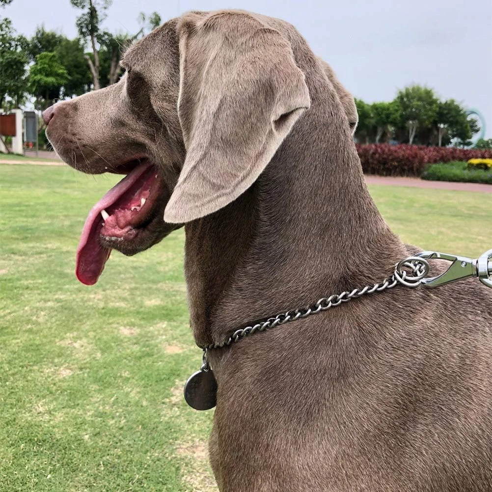 Collier Chien | Stylecol™ - Résistant et Confortable