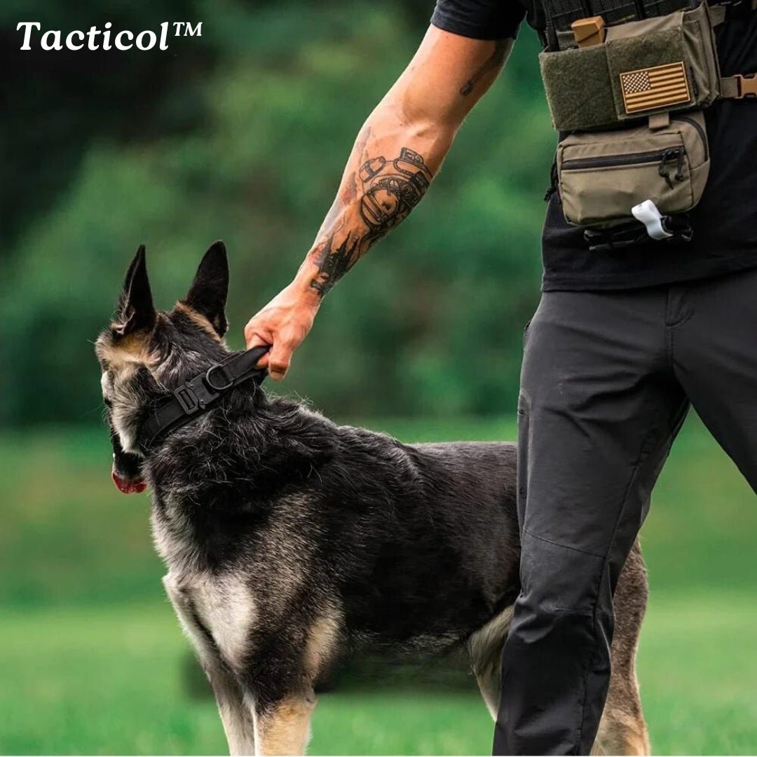 Collier de dressage chien | Tacticol™ - Je Promène Mon Chien