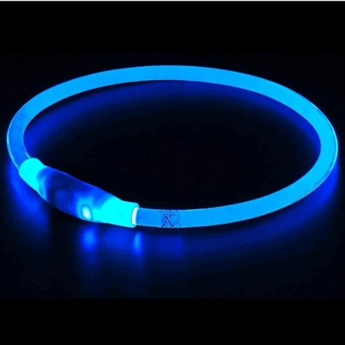 Collier Lumineux Chien | NightSafe™