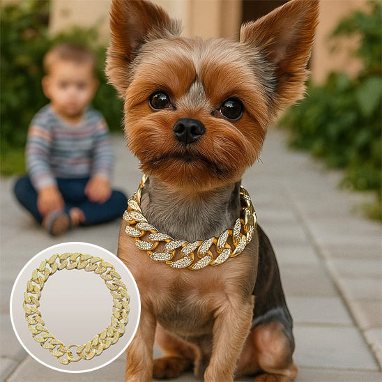 Collier pour chien | Luxe Cubain
