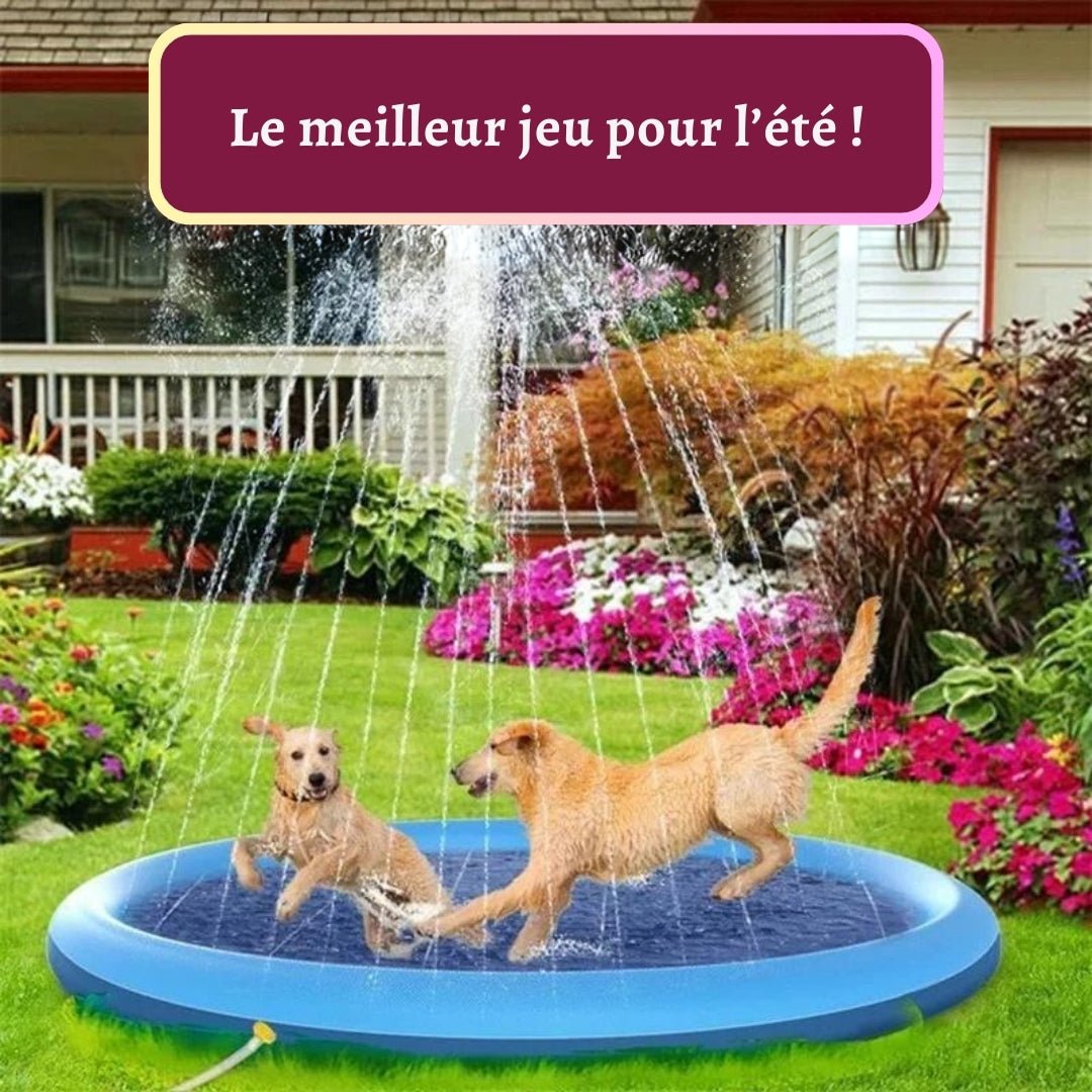 Coolpet™ | Piscine à jets pour chien - Je Promène Mon Chien