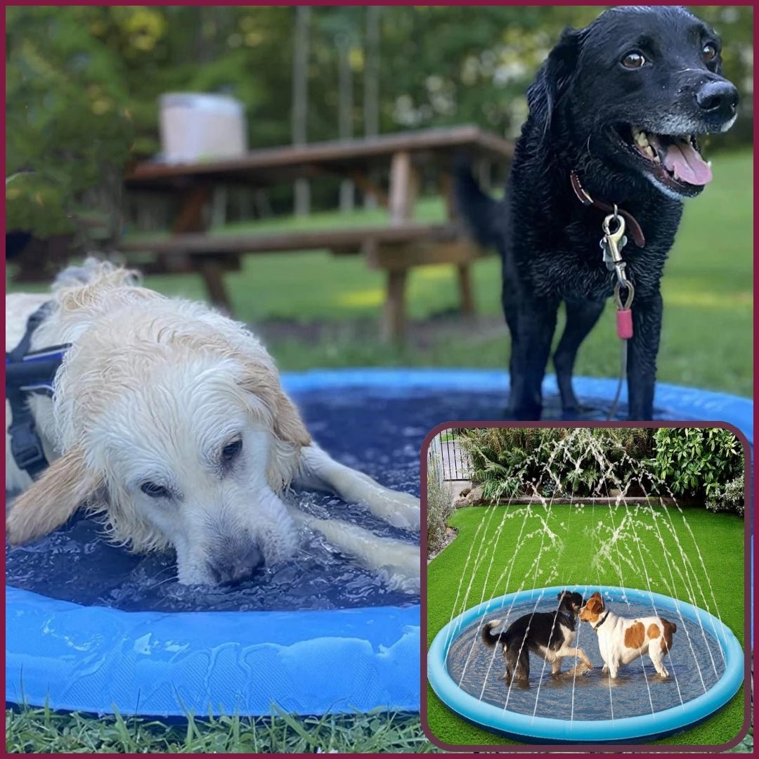 Coolpet™ | Piscine à jets pour chien - Je Promène Mon Chien