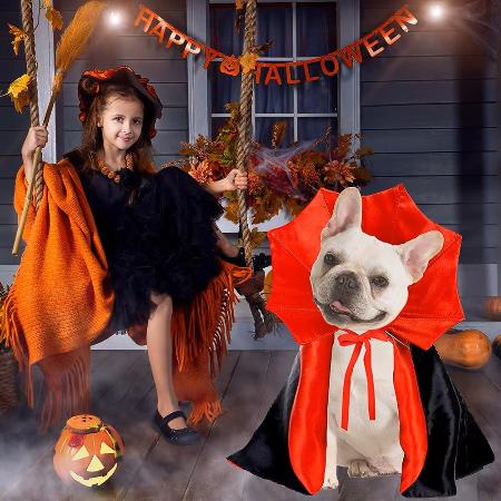 DEGUISEMENT POUR CHIEN - DRACULCHIENâą - Je PromĂšne Mon Chien
