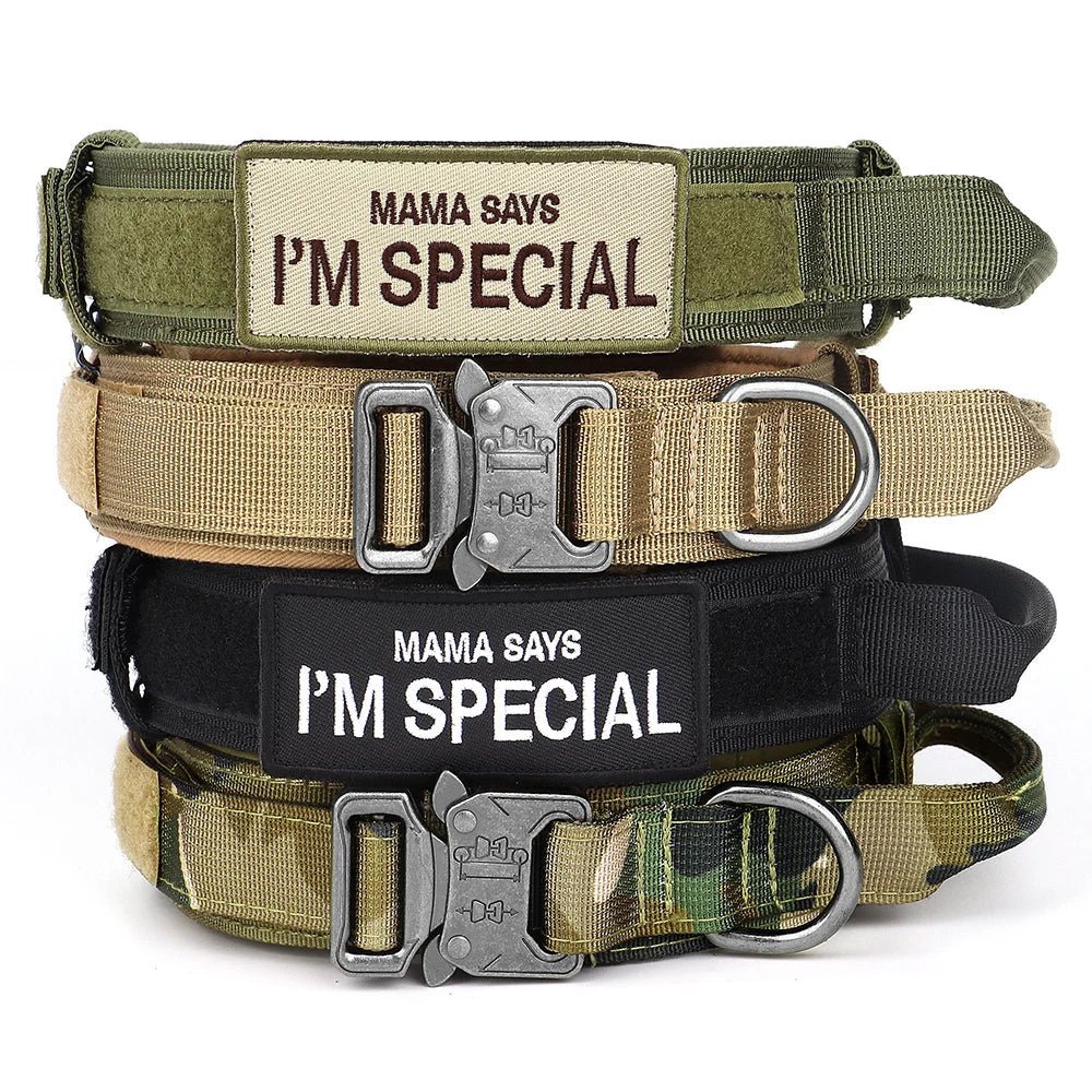 Etiquettes personalisées pour collier et harnais - Velcro - Je Promène Mon Chien