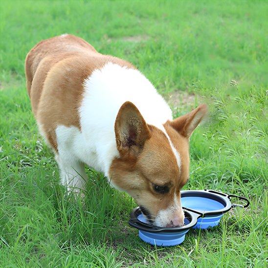 Gamelle chien | Anti-Glouton