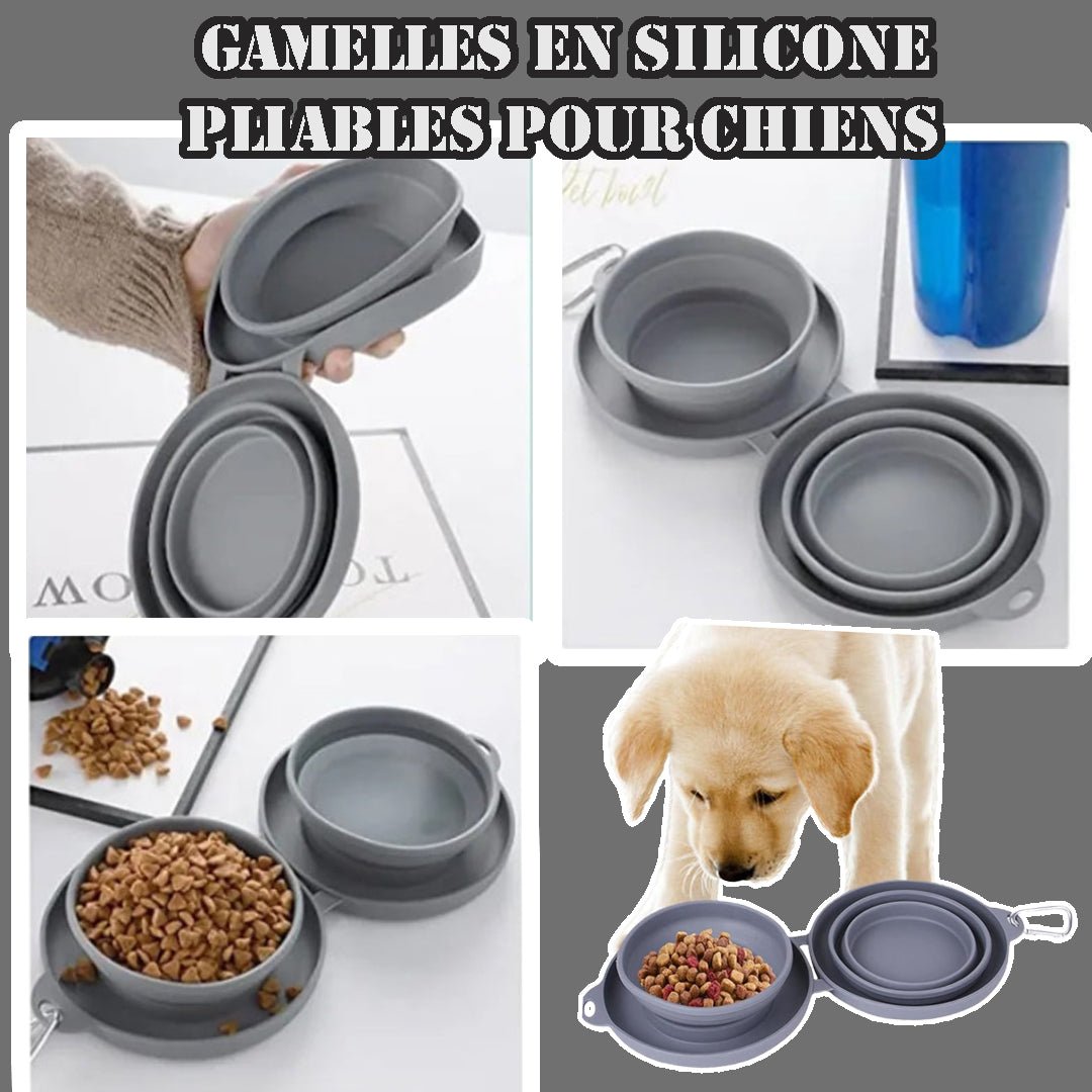 GAMELLE CHIEN - COMPACTE™ - Je Promène Mon Chien