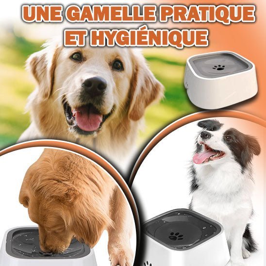 GAMELLE CHIEN - PATOSSEC™ - Je Promène Mon Chien
