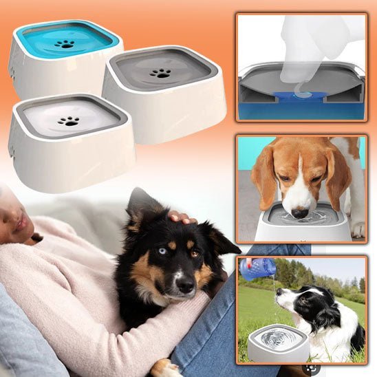 GAMELLE CHIEN - PATOSSEC™ - Je Promène Mon Chien