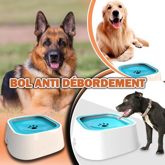 GAMELLE CHIEN - PATOSSEC™ - Je Promène Mon Chien
