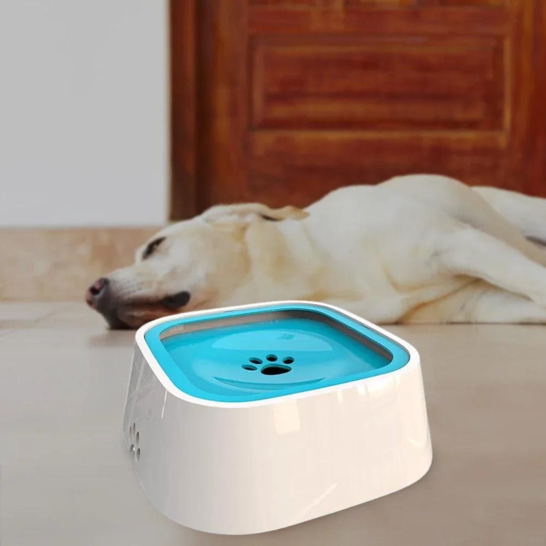GAMELLE CHIEN - PATOSSEC™ - Je Promène Mon Chien